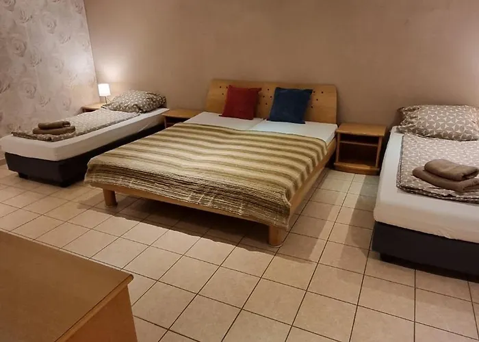 Basecamp 60 Am Waldrand - Fuer Gruppen Familien Monteure - Helles 2-Zimmer-Souterrain - Frankfurt, Hanau, Giessen - Kostenlose Parkplaetze * Altenstadt